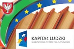 Plany działania na rok 2011 uzupełnione o kryteria wyboru projektów innowacyjnych i współpracy ponadnarodowej PO KL